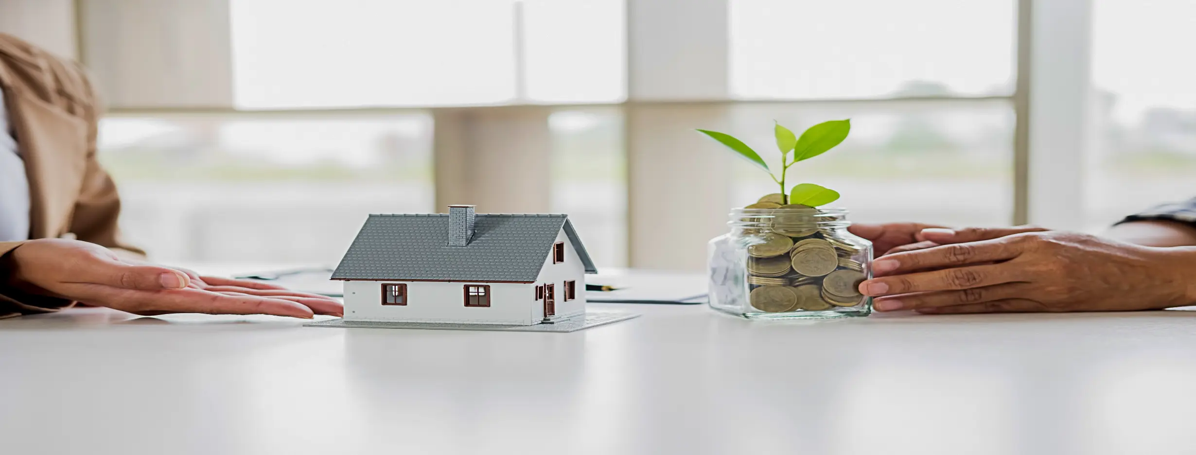 Image for Investment in Paradise